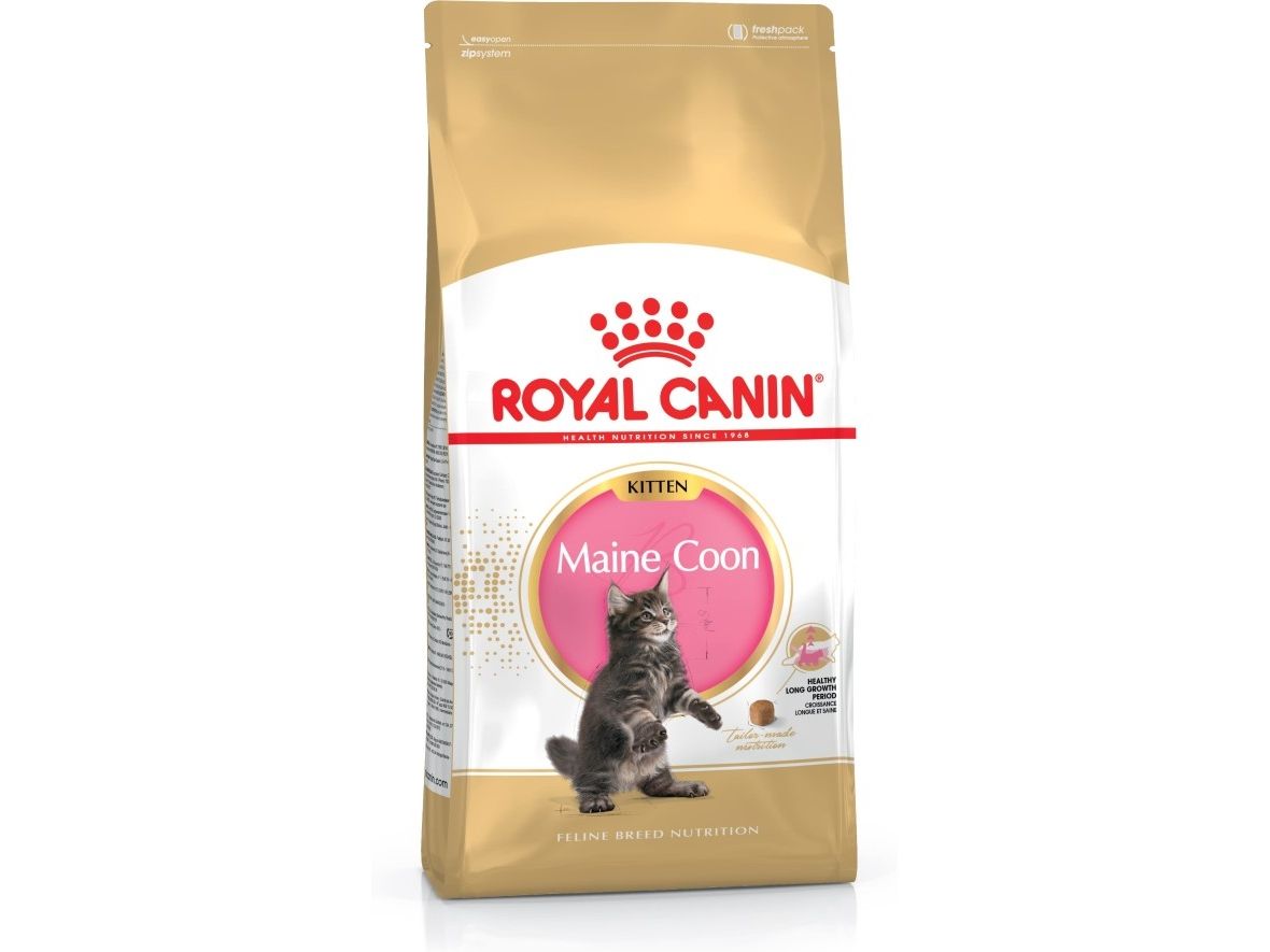 Royal Canin Maine Coon Kitten torrfoder för kattungar 4 kg