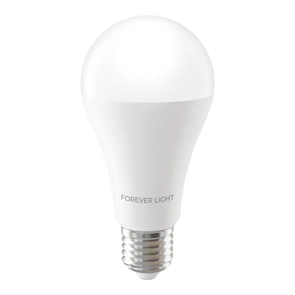 LED-Lampa E27 A65 17W 2100lm 6000K