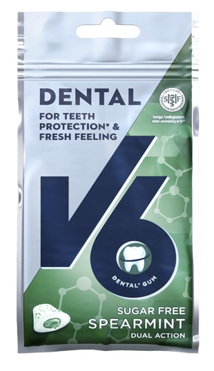 V6 Dental Dual Action Spearmint, 30 g