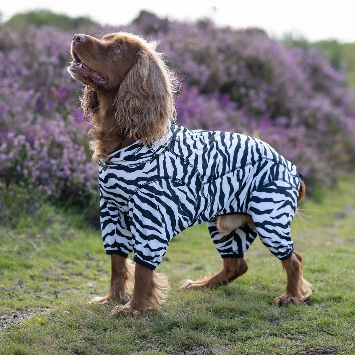 Rukka Zebra Fästingskydd Hundoverall 25