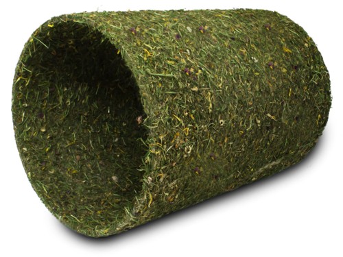 Jr Farm - Spring Roll Large - 750 g, bild 2