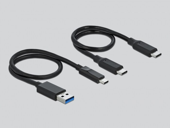 DeLOCK M.2 Docking Station USB 3.2 Gen2 (64000), bild 2