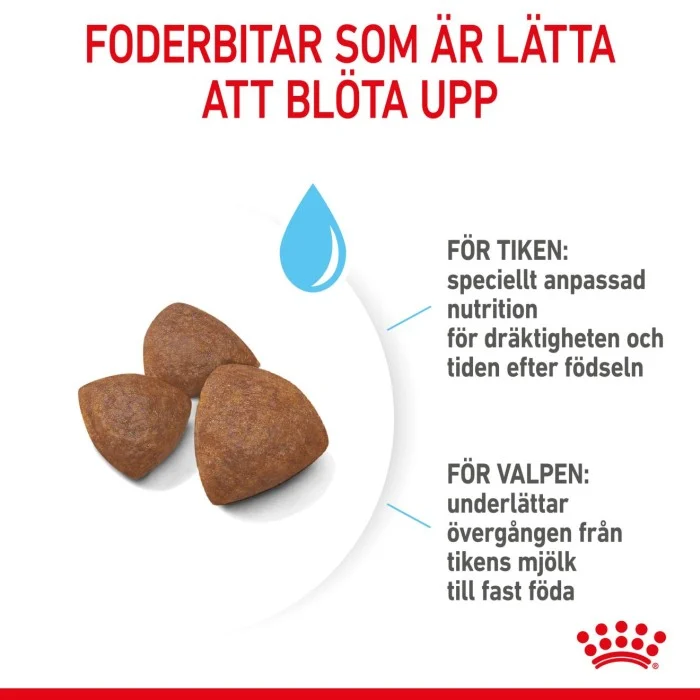 Royal Canin Medium Starter torrfoder för hund och hundvalp 4 kg, bild 3