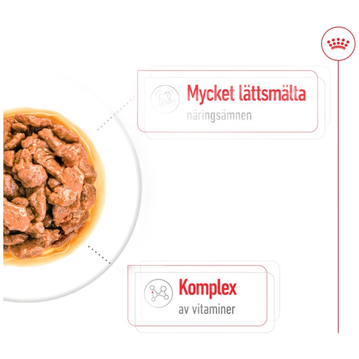 Royal Canin Mini Adult Gravy Våtfoder för hund 12x85 g, bild 3