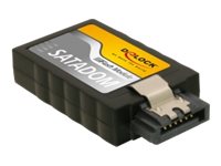 Delock SATA Flash Module vertikal - SSD - 2 GB - intern - SATA 3Gb/s