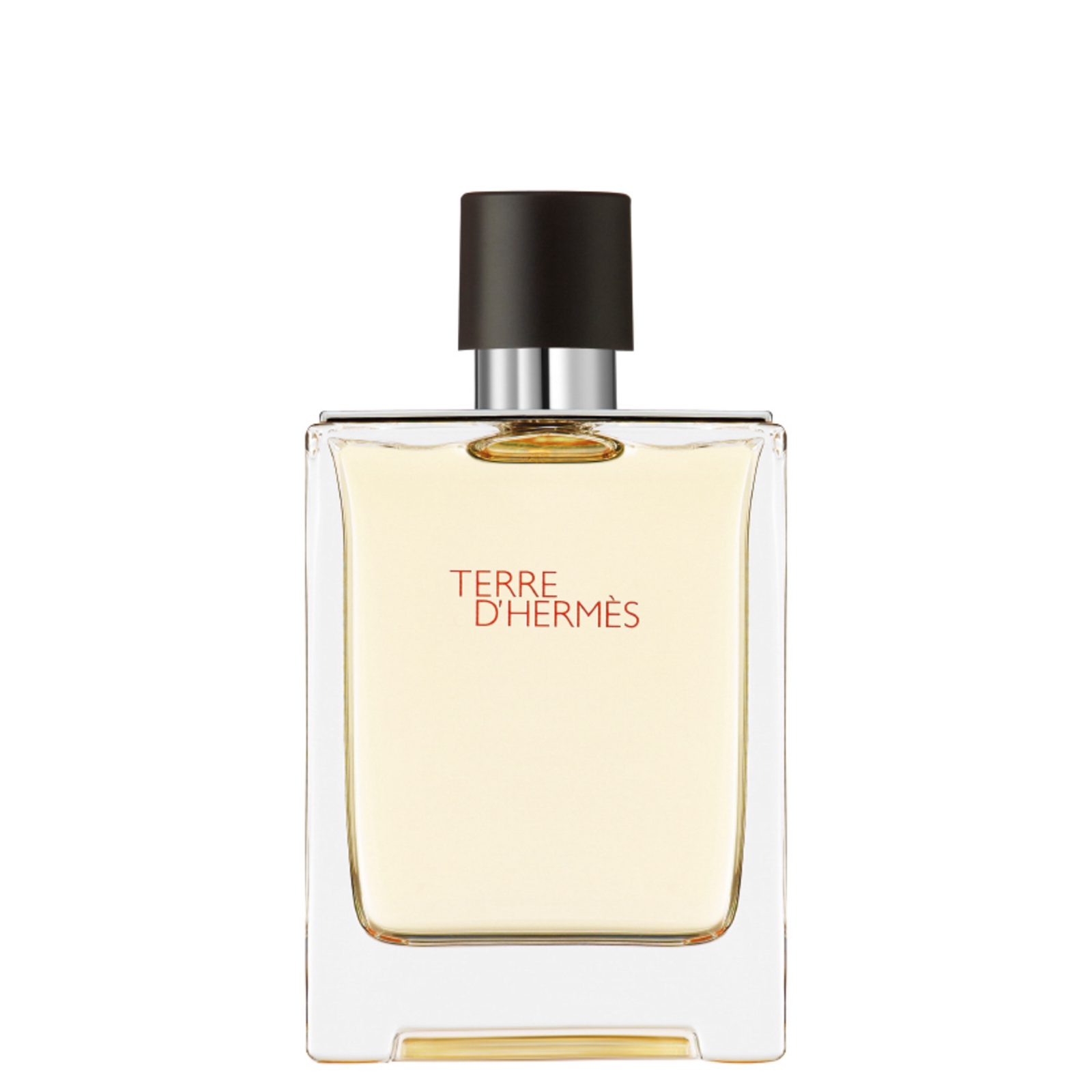 Terre d'Hermès Eau de Toilette 100 ml