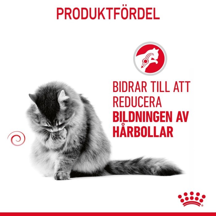 Royal Canin Hairball Care, Vuxen, 2 kg, bild 4