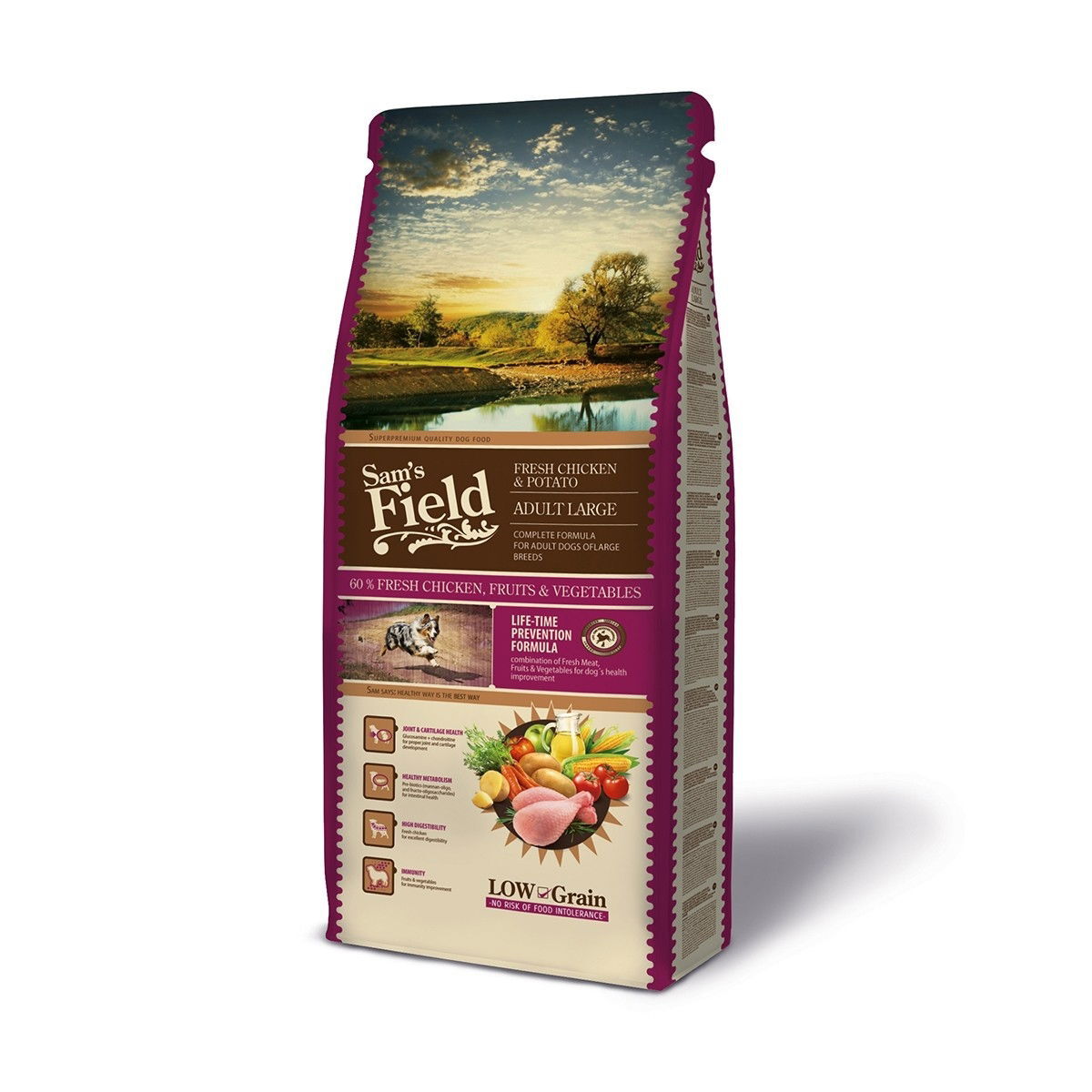 Sam's Field Adult Large Chicken & Potato