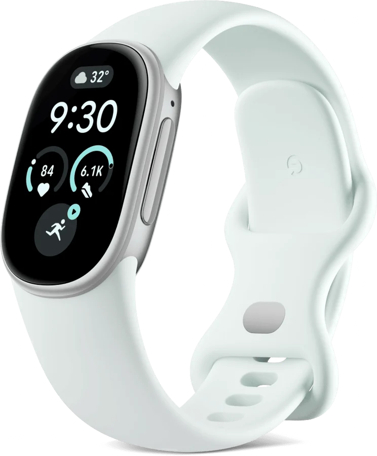 Google Fitbit Edge Fog/Satin Silver