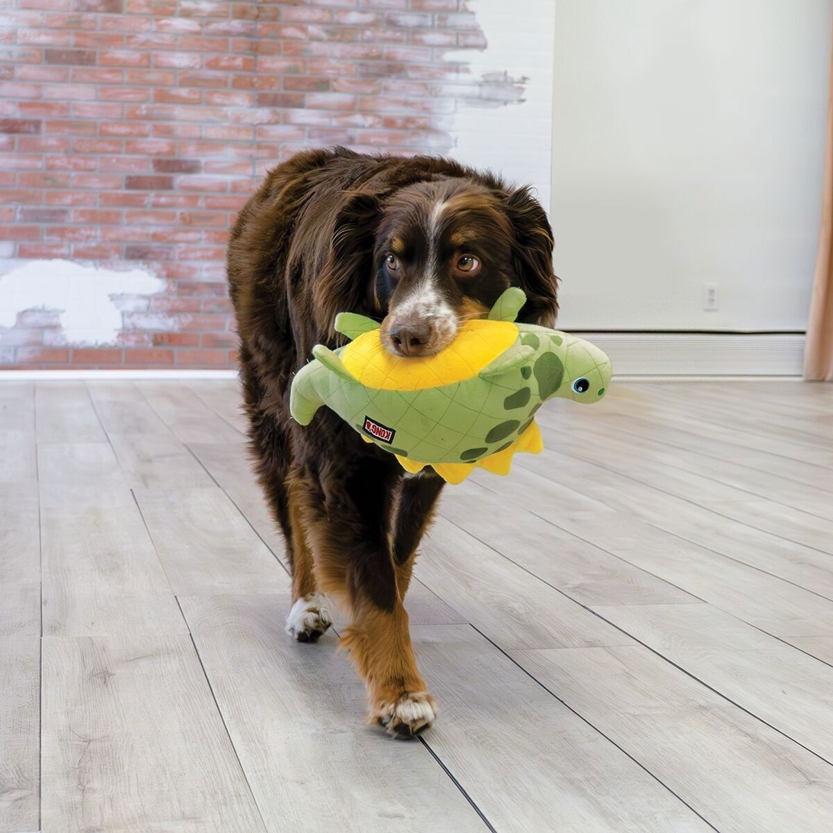 KONG Dynos Roars Mjukisdjur till Hund Dinosaurie Grön M/L
