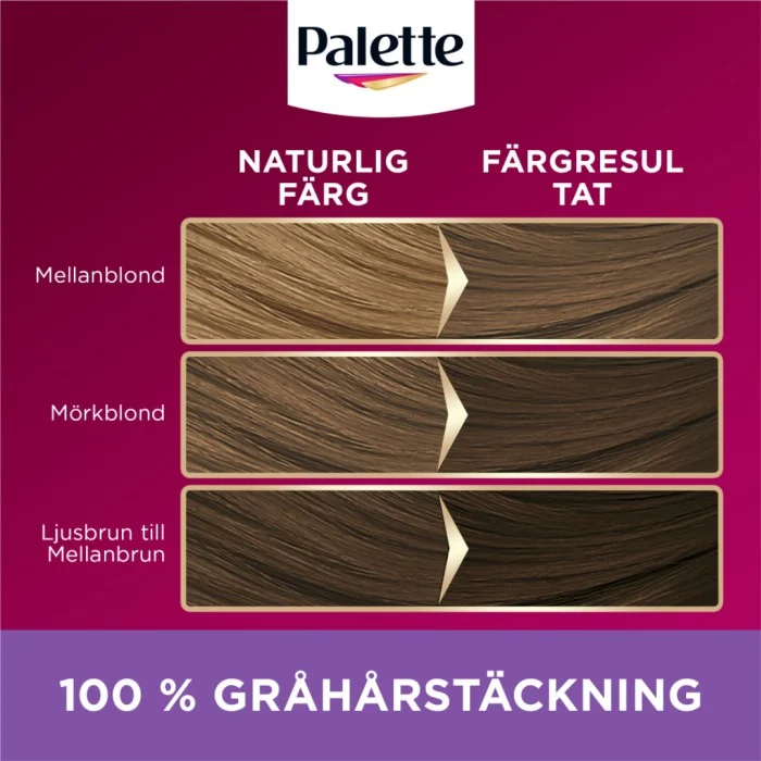 Palette Intensive Creme Coloration 7-36 Frozen Light Brown, bild 4