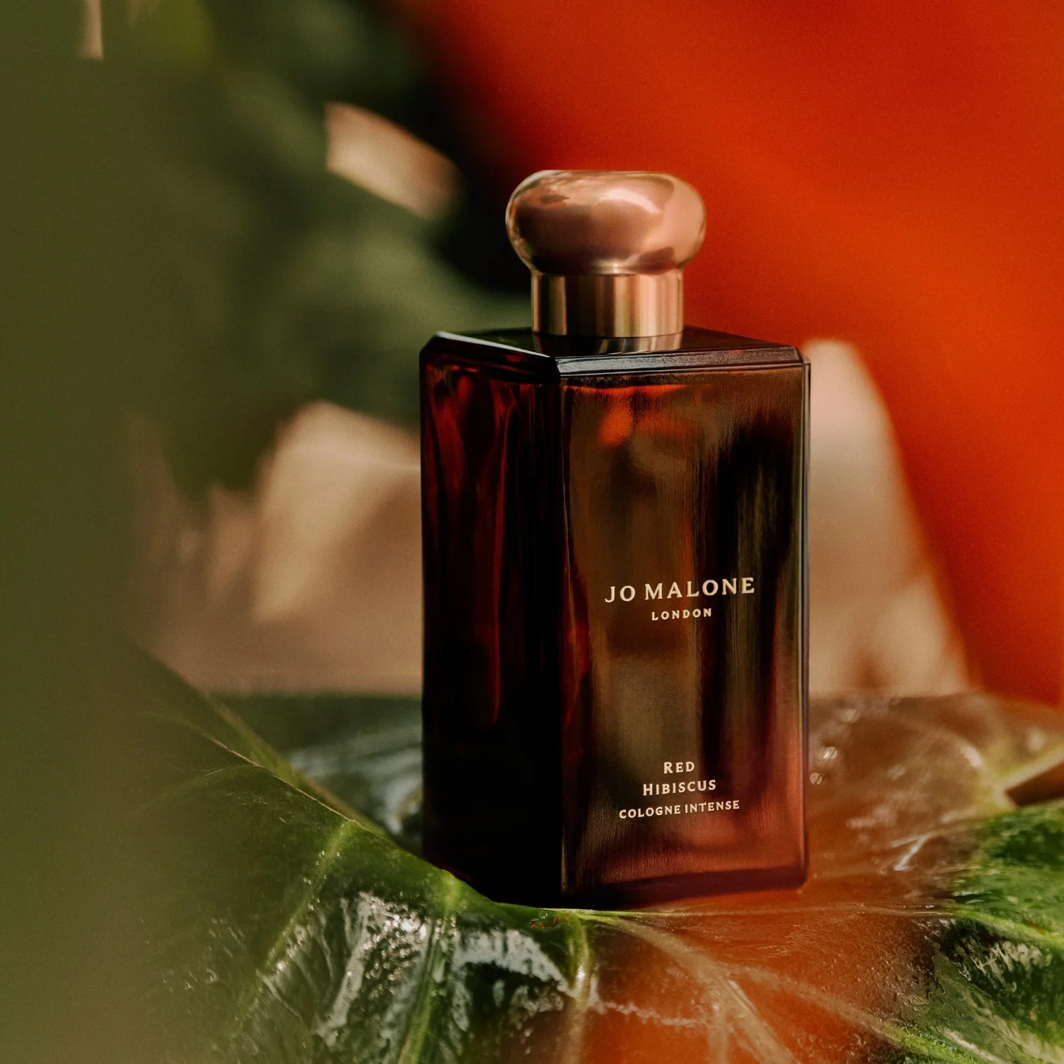 Jo Malone London Red Hibiscus Cologne Intense Pre-Pack Red Hibiscus-WN 100.0 ml, bild 3