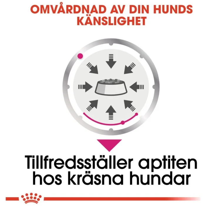 Royal Canin Exigent Adult Våtfoder för hund 12x85 g, bild 5