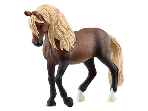 Schleich - Horse Club - Paso Peruano Stallion (13952 ), bild 2