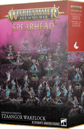 Warhammer Age of Sigmar Spearhead Disciples of Tzeentch Tzaangor Warpflock, bild 2