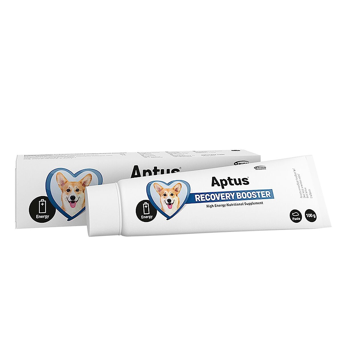 Aptus Recovery Booster Hund 100 g, bild 2