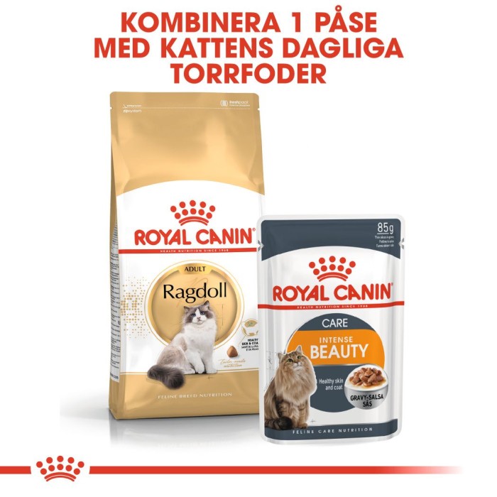 Royal Canin Ragdoll Adult Torrfoder för katt 10 kg, bild 5