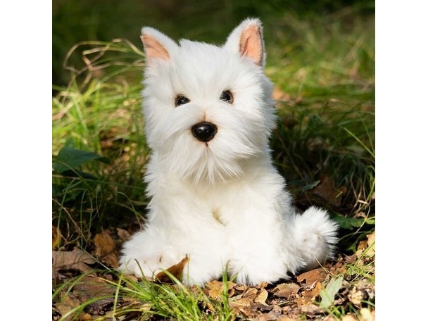 Animigos - World of Nature Westiehund, bild 4