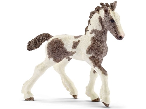 Schleich - Tinker Foal (13774), bild 2