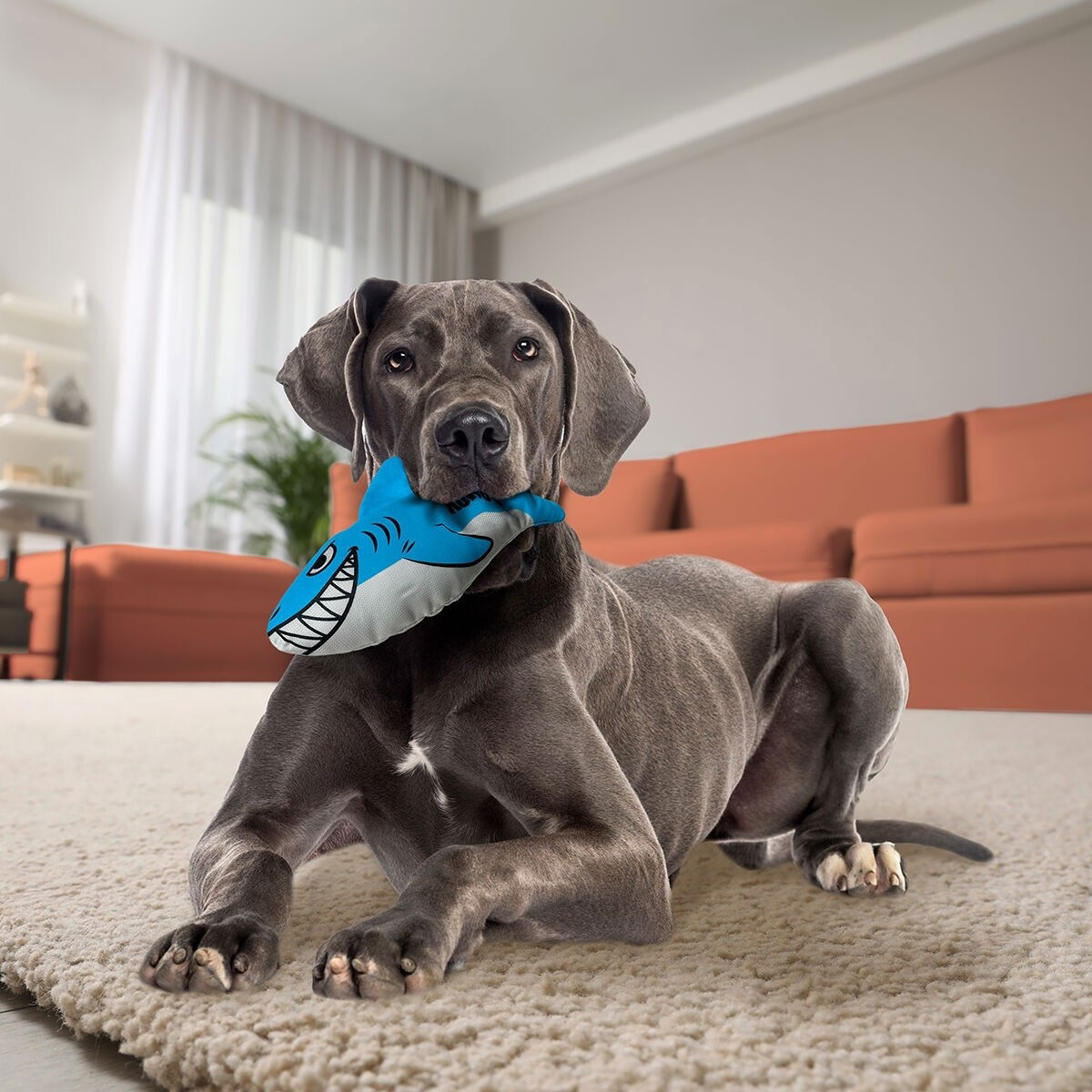 KONG Maxx Mjukisdjur till Hund Haj M, bild 4