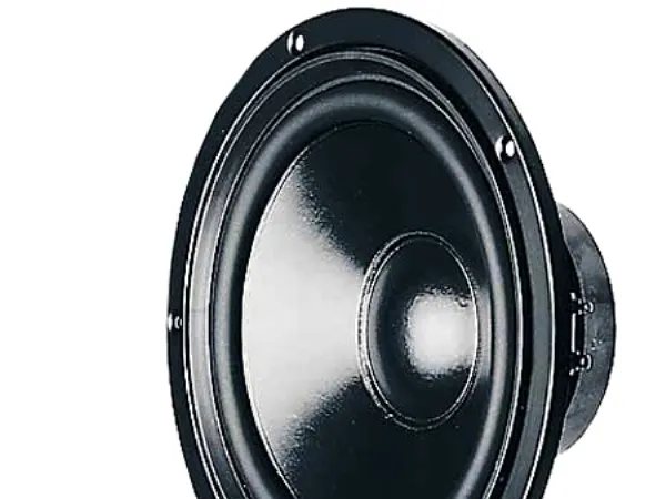 Visaton W 170 S 4 OHM - Högtalardrivrutin - 50 Watt