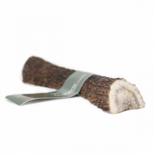Taki - Deer Antler split L 15cm - (01-602)