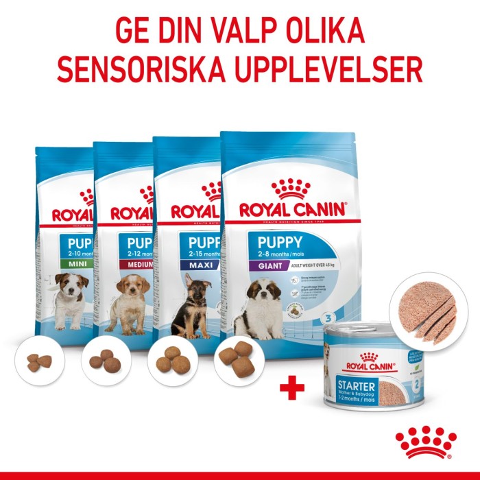 Royal Canin Mother & Babydog Starter Mousse våtfoder för hund och hundvalp 195 g, bild 5
