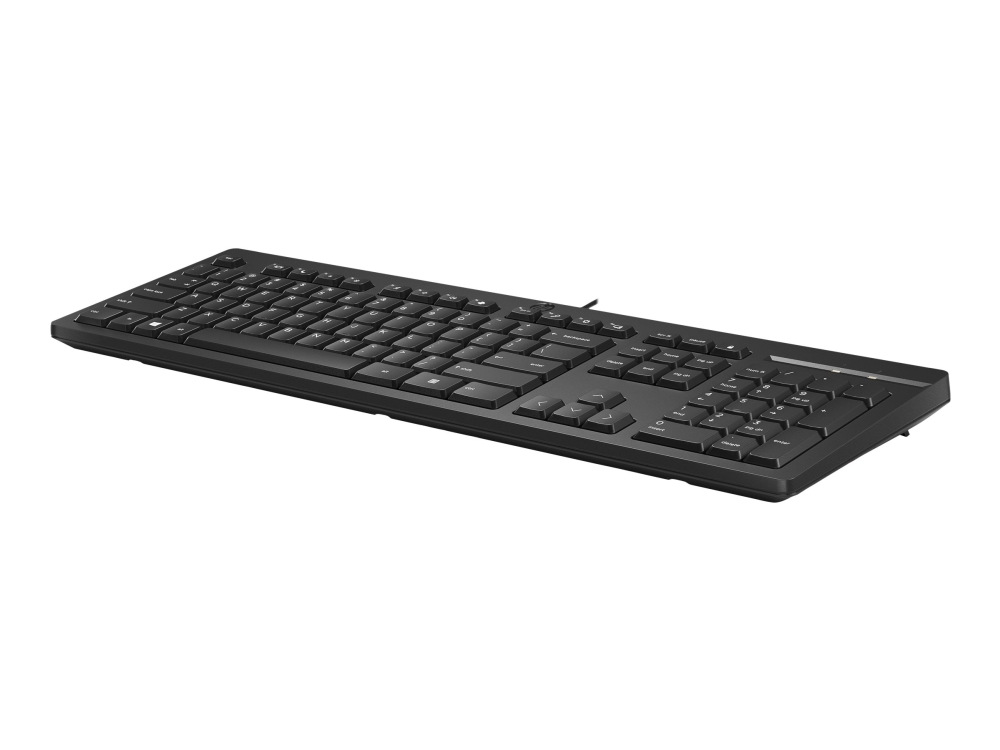 HP 125 - Tangentbord - USB - tjeckisk/slovakisk, bild 2
