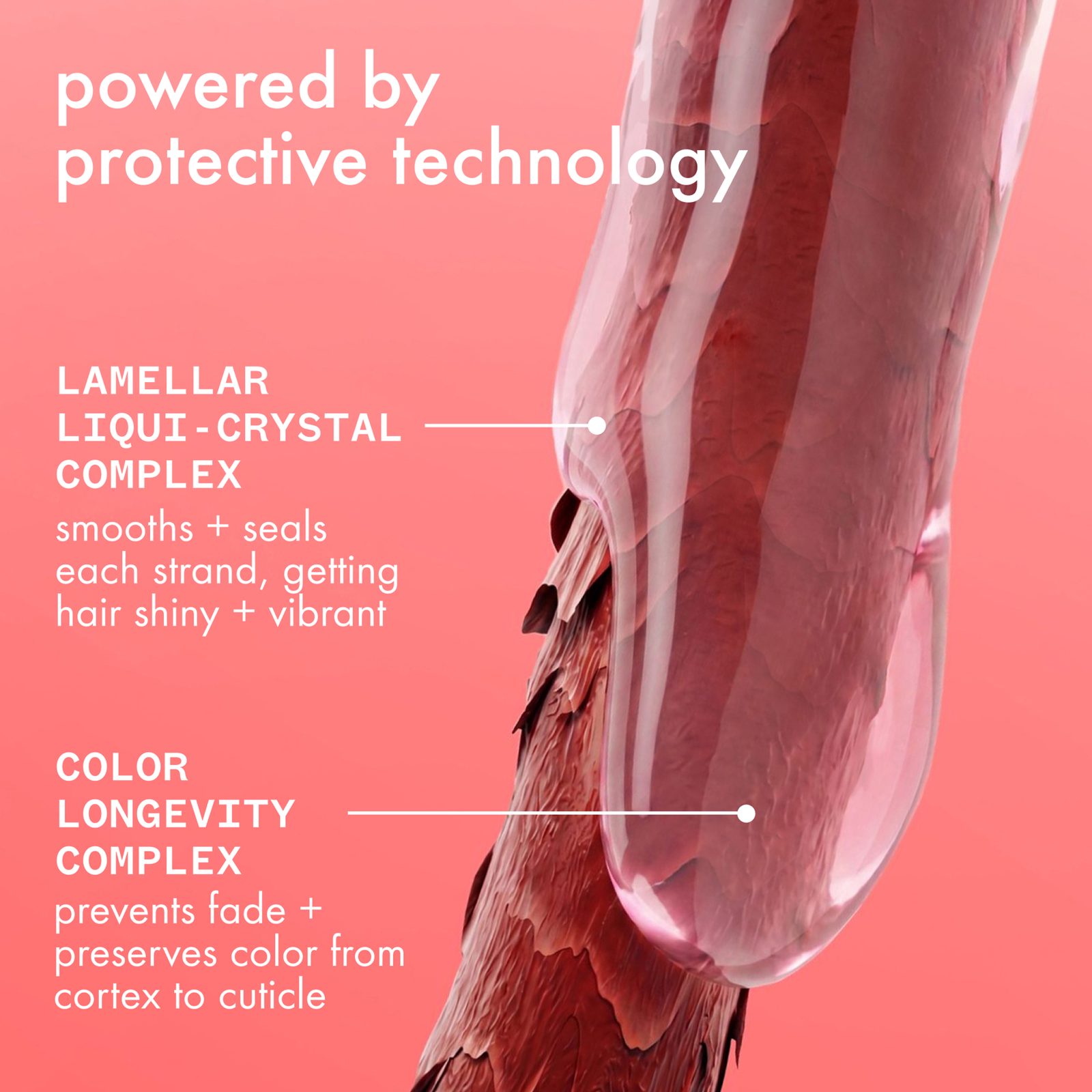The Protector Color Protect + Strengthen Treatment 60ml, bild 4