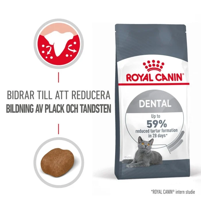 Royal Canin Dental Care Adult Torrfoder för katt 3,5 kg