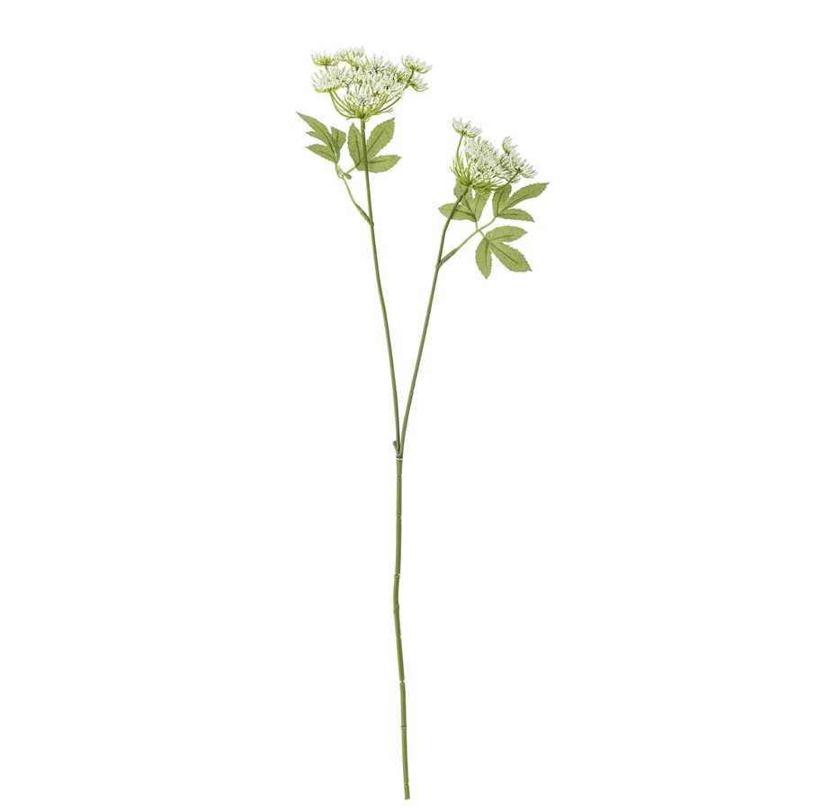 BLOOMINGVILLE fänkelskaft, vit, konstgjorda blommor, bild 2