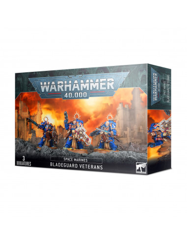 Warhammer 40K - Space Marines Bladeguard Veterans