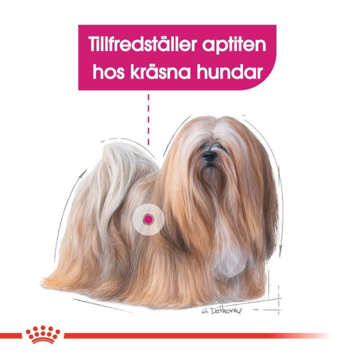 Royal Canin Exigent Mini Adult torrfoder för hund, bild 4