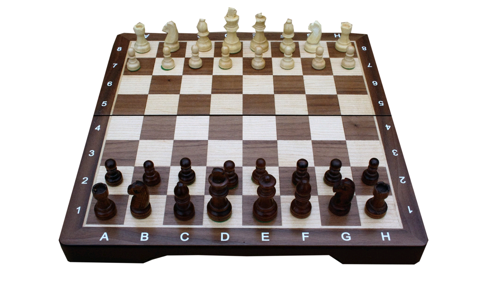 Chess Set - Medium (TWE197911), bild 3