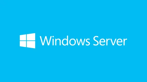 Microsoft Windows Server, Klientåtkomstlicens (CAL)