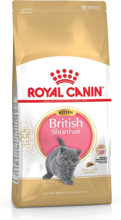 Royal Canin British Shorthair Kitten, Kattunge, Brittisk korthår, Höns, Ris, Grönsaker, 2 kg, Antioxidanter ingår