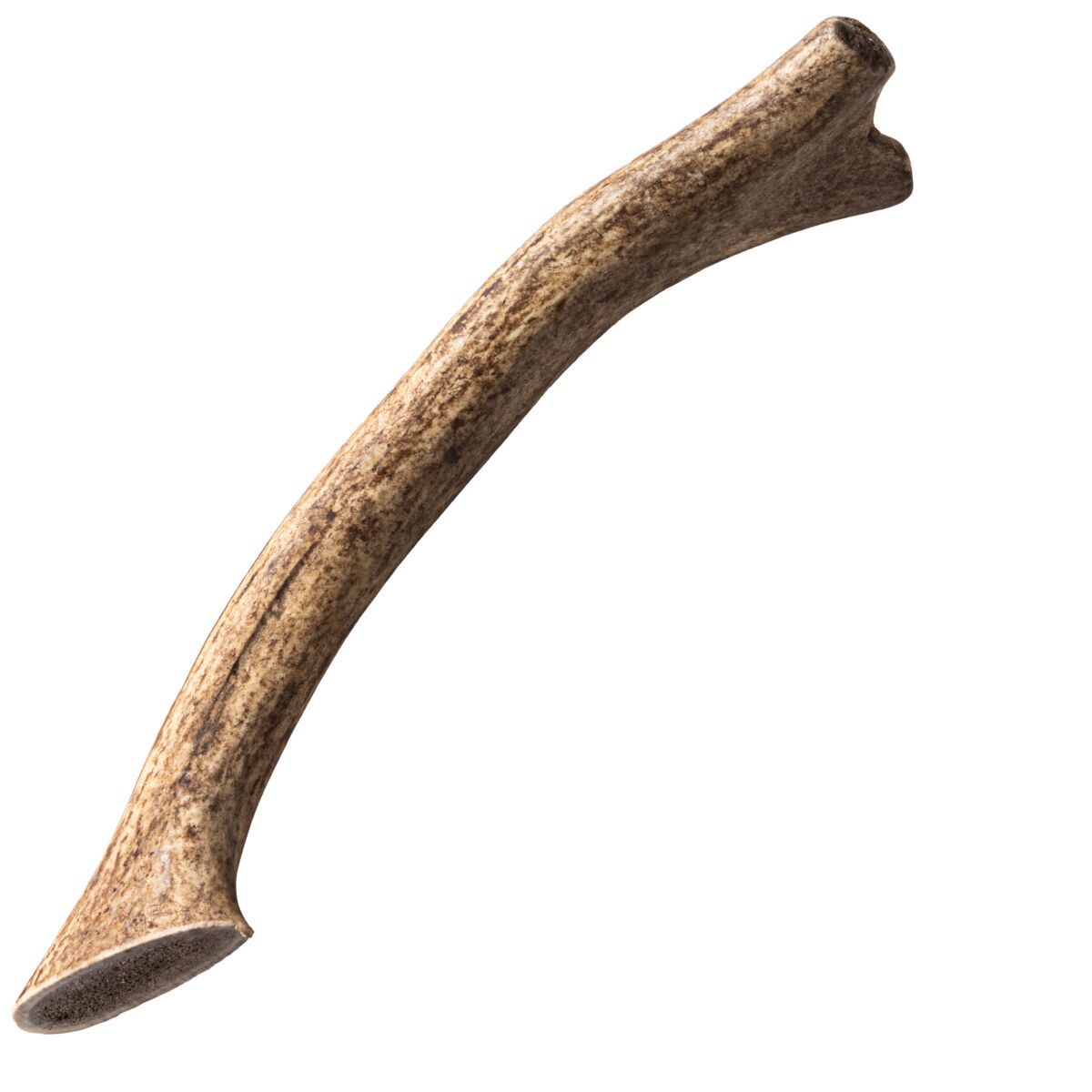 Nutriment Hjorthorn Hundtugg