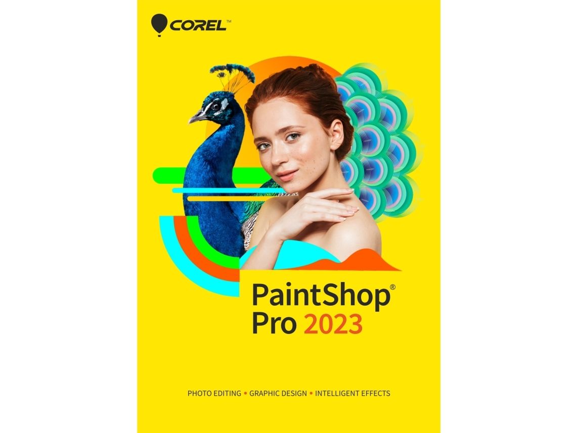 PaintShop Pro 2023 - PC Windows