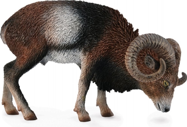 Collecta figur europeisk mufflon (004-88682)