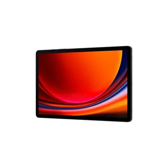 Samsung Galaxy Tab S9 WiFi 256 GB, graphite