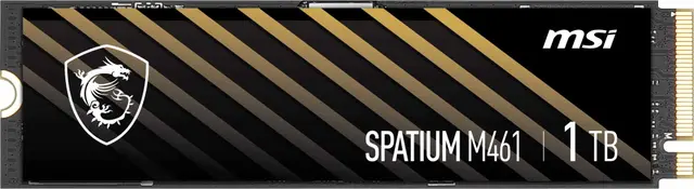 MSI Spatium M461 M.2 intern SSD (1TB)