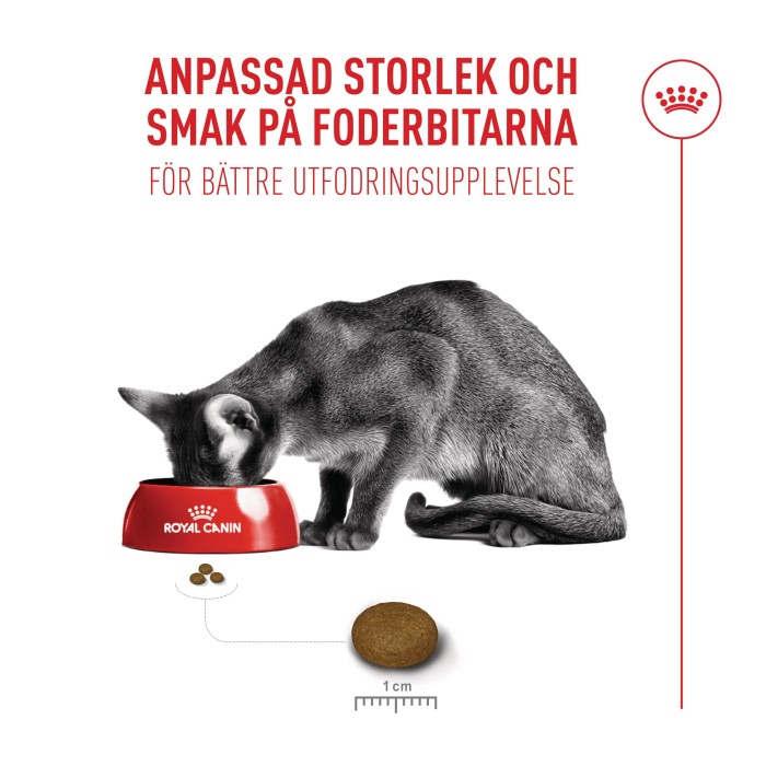 Royal Canin Fussy torrfoder för katt 2 kg, bild 5