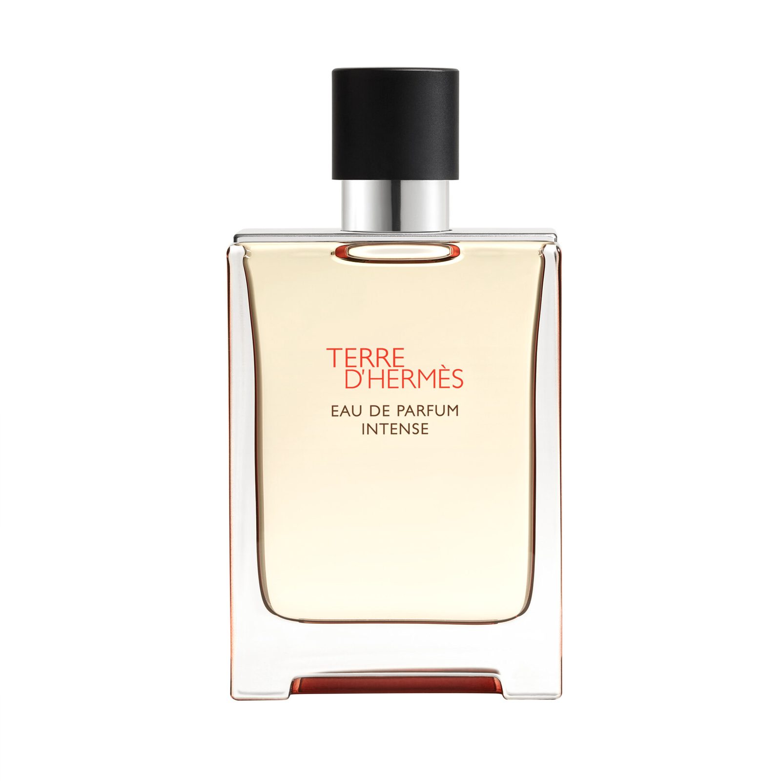 Terre d'Hermès Eau de Parfum Intense 100 ml