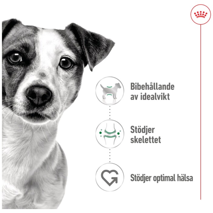 Royal Canin Mini Adult Gravy Våtfoder för hund 12x85 g, bild 4