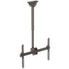 Takfäste StarTech.com TV/skärm, 37-70", VESA upp till 600x400, max 50 kg - Svart