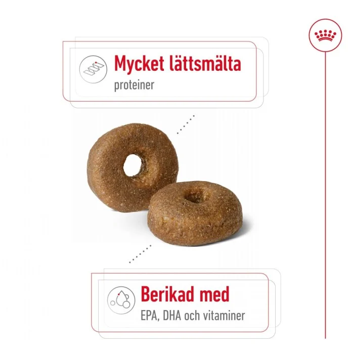 Royal Canin Maxi Ageing 8+ Torrfoder för hund 15 kg, bild 3